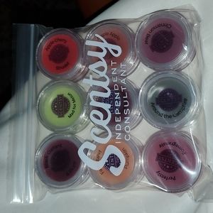 Scentsy Tester 9 pack.